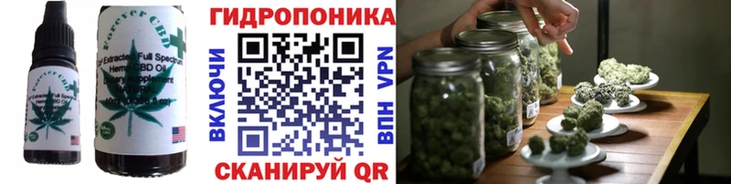 Canna-Cookies марихуана  Кохма 