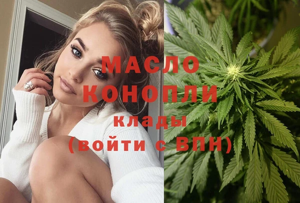 индика Баксан