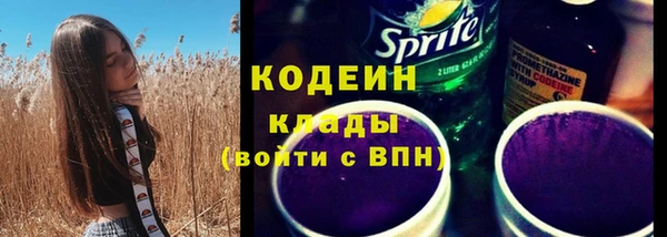 индика Баксан